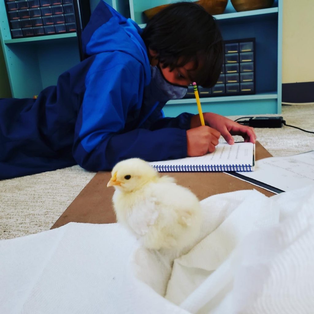 classen montessori school classes